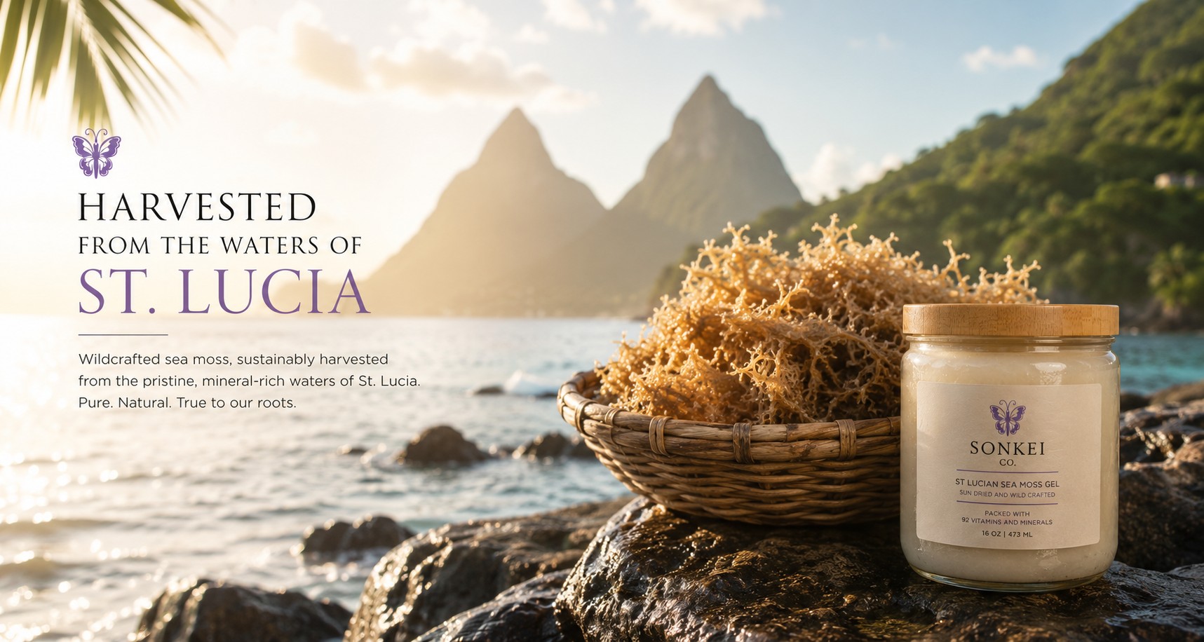 SONKEI CO. St Lucian Sea Moss Gel — harvested from the waters of St Lucia