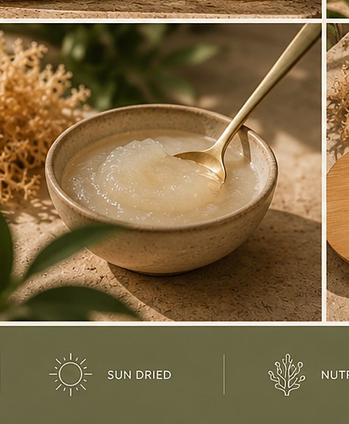 A spoonful of SONKEI CO. Sea Moss Gel